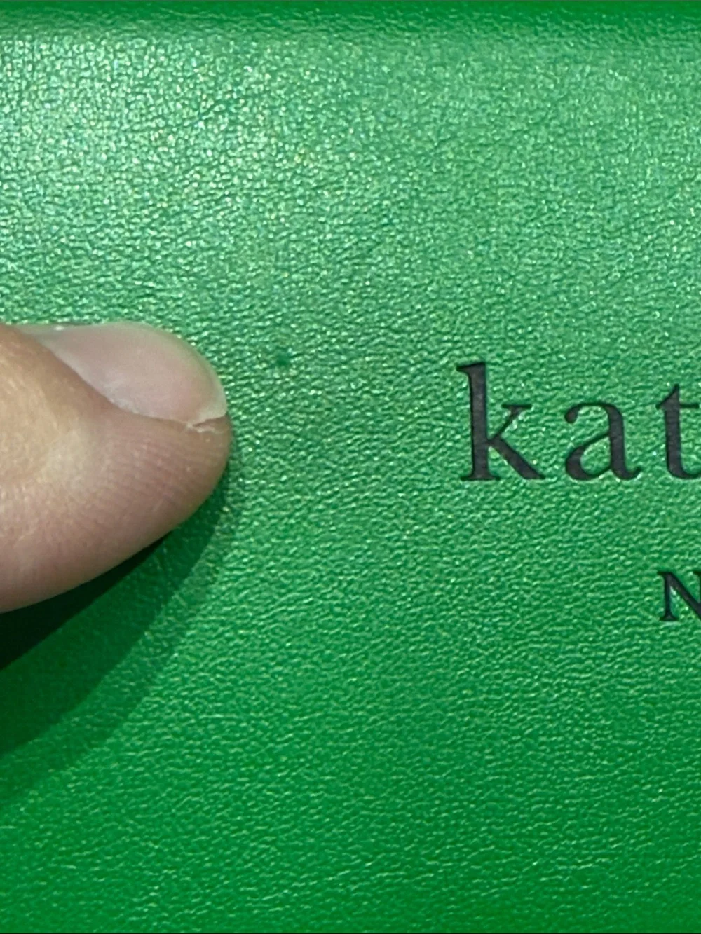 kate spade Green and Black Hard Eyeglass Case
